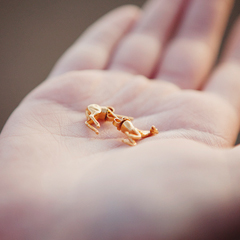 SMITH/GREY's Golden Horse Studs as seen on WishWishWish