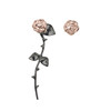 Marina's Roses - rose gold & black