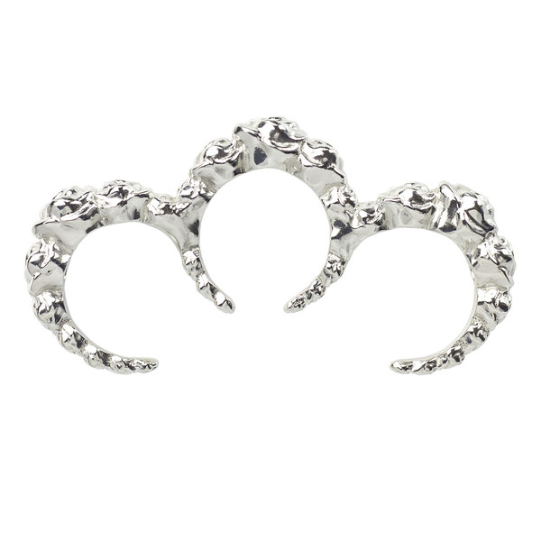 Find me in the Rose Garden Ring - silver