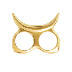 The Fighter Ring