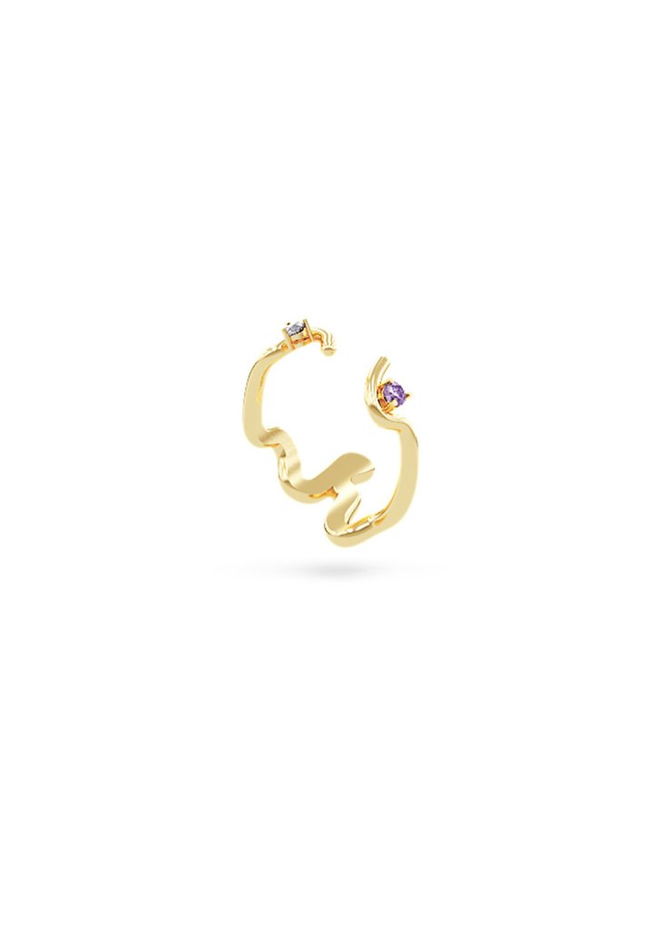 metamorphosis amethyst