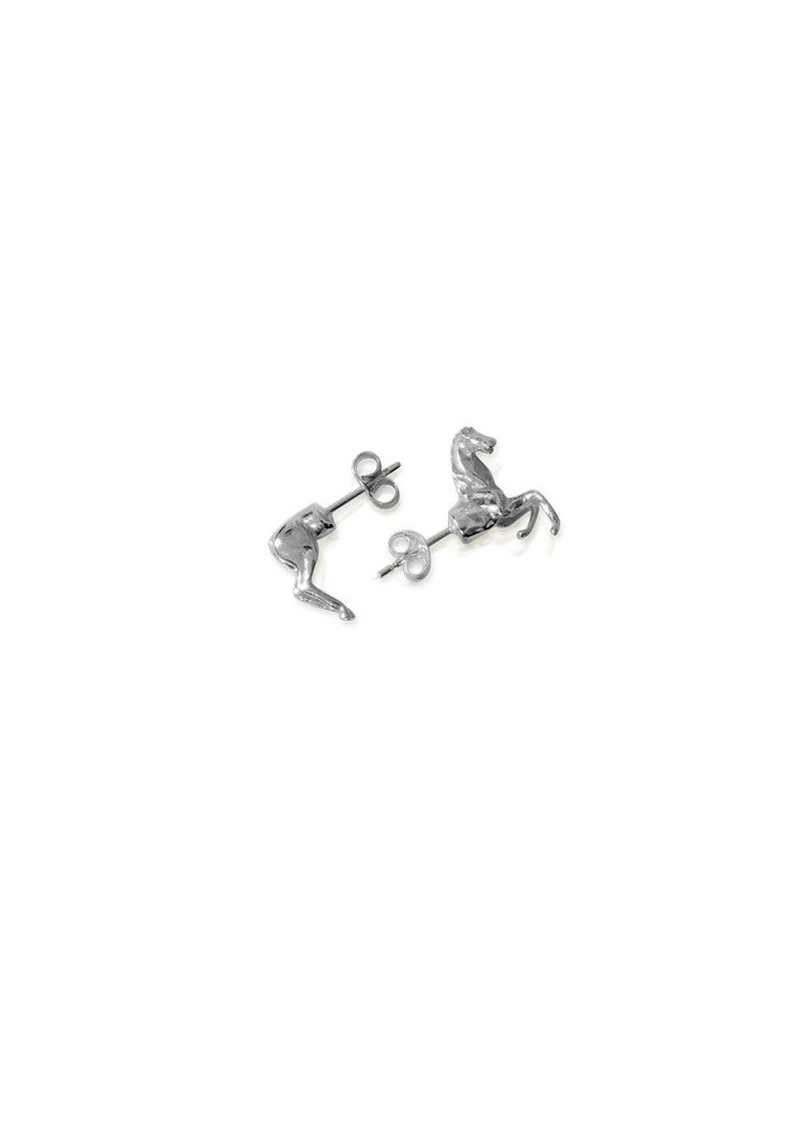 horse stud