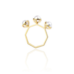 The Whisper Ring