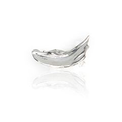 Broad Paint Stroke Earring - silver