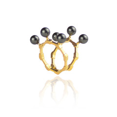 The Cardinal Ring