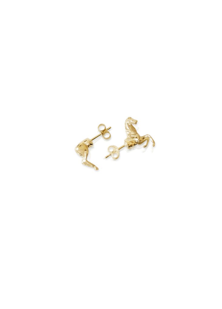 horse stud