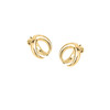 Tusk Earrings - golden
