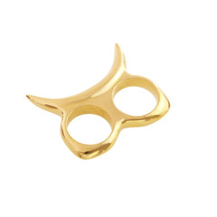 The Fighter Ring